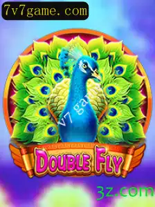 Explorando o Mundo Inovador de DoubleFly